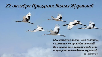 Патриотическая акция "День белых журавлей". Патриотическая акция "День белых журавлей".