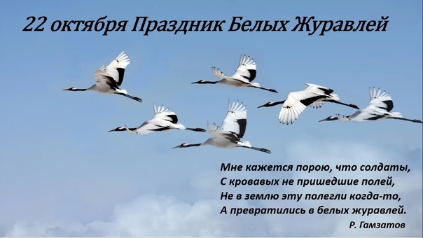 Патриотическая акция "День белых журавлей". Патриотическая акция "День белых журавлей".